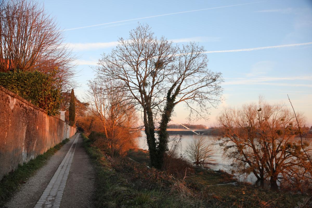 14-01-2025---Chemin-de-Halage-80